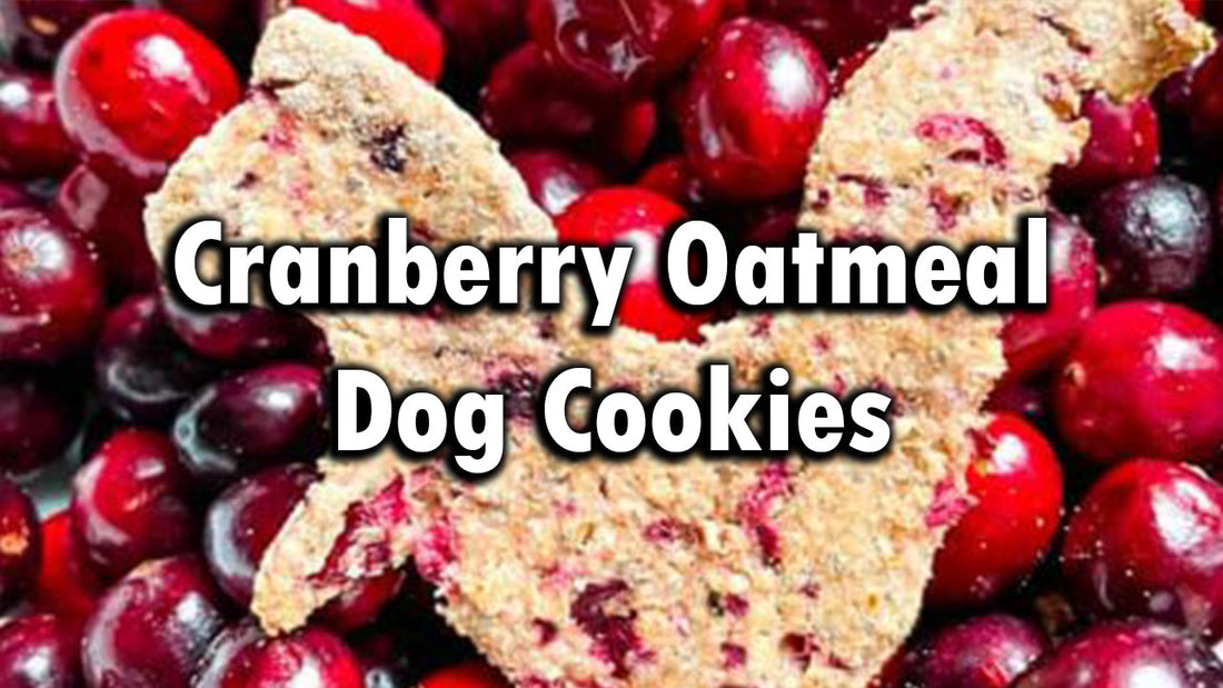 Cranberry Oatmeal Dog Cookies