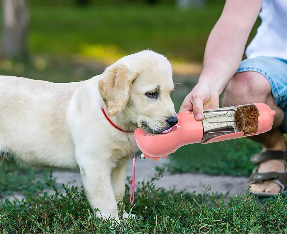 Pet Outdoor Water Bottle Feeder - TadeyPet