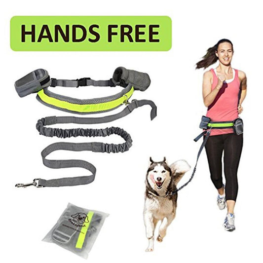 Adjustable Hands Free Dog Leash - TadeyPet