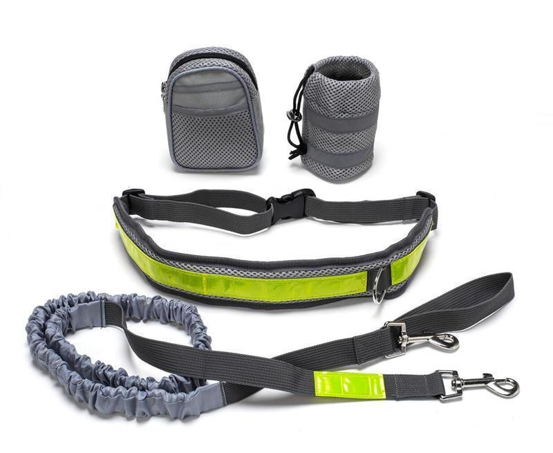 Adjustable Hands Free Dog Leash - TadeyPet