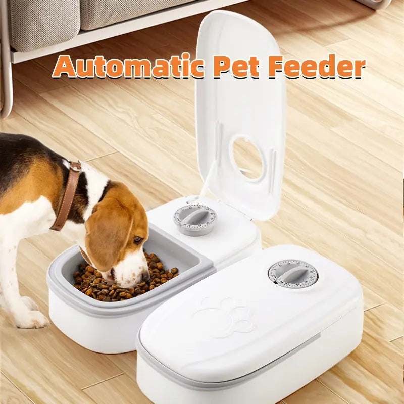 2-in-1 Pet Feeder & Water Dispenser - TadeyPet